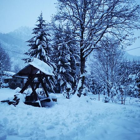 Cabana Valea Rea, Boga Boga  Extérieur photo