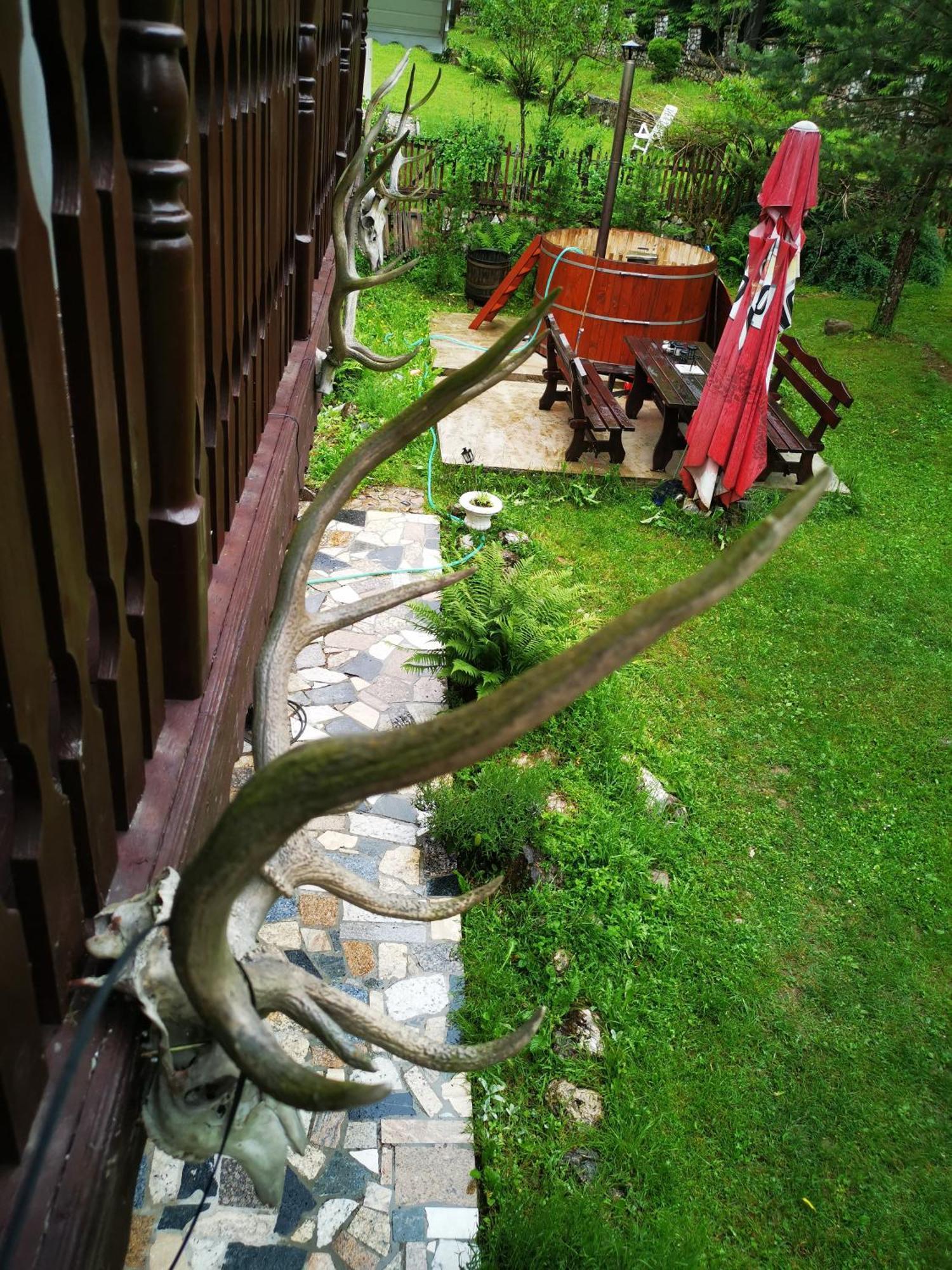 Cabana Valea Rea, Boga Boga  Extérieur photo