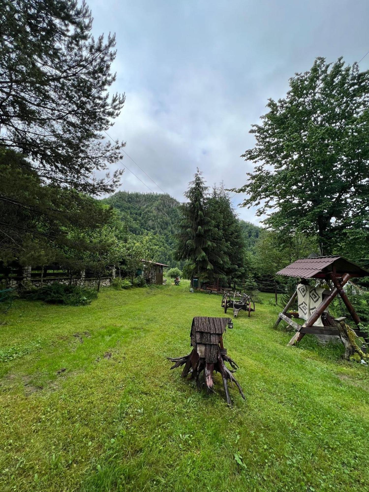 Cabana Valea Rea, Boga Boga  Extérieur photo
