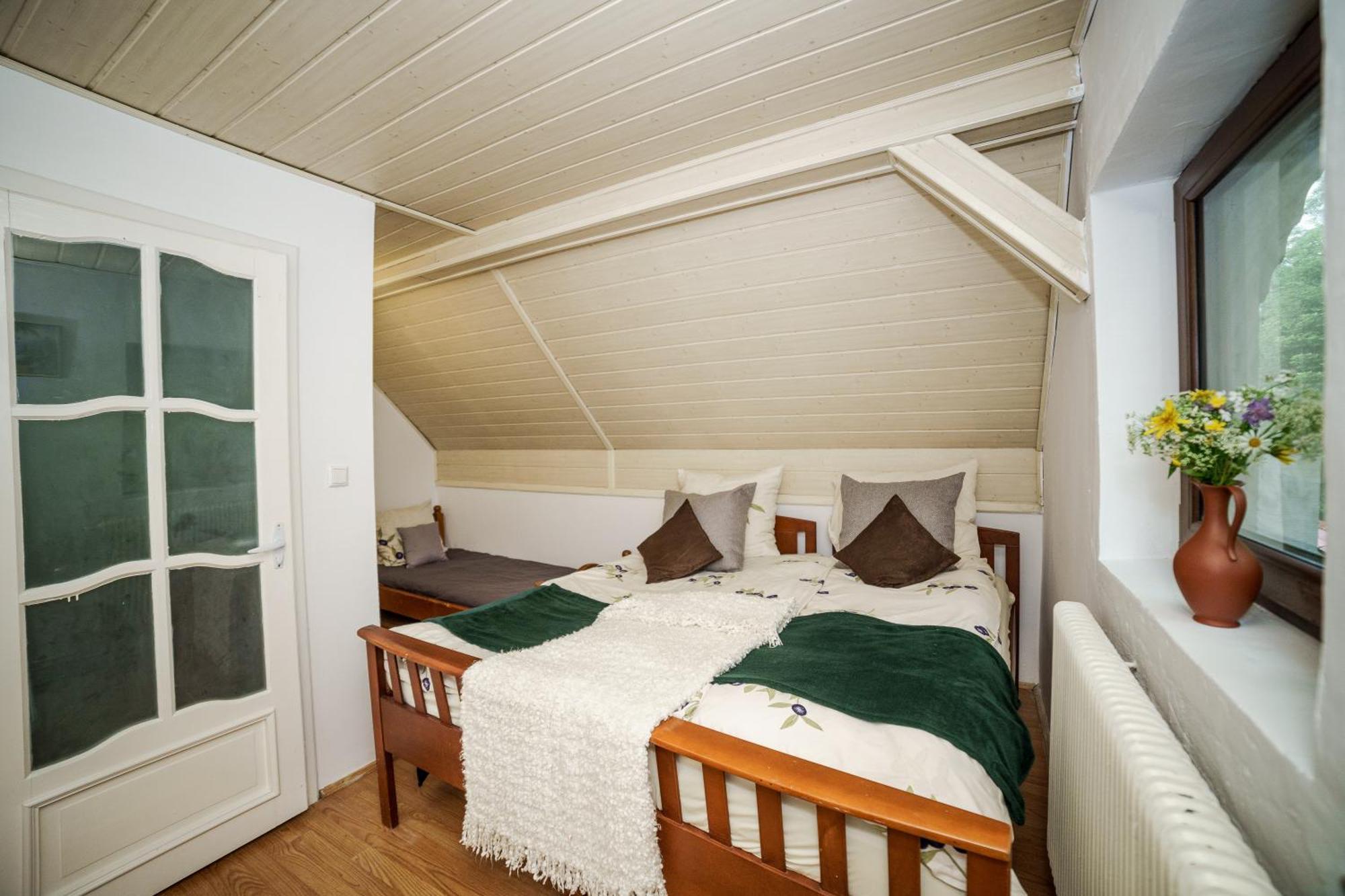 Cabana Valea Rea, Boga Boga  Extérieur photo